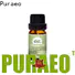 Puraeo New grapefruit essential oil for skin for business for massage