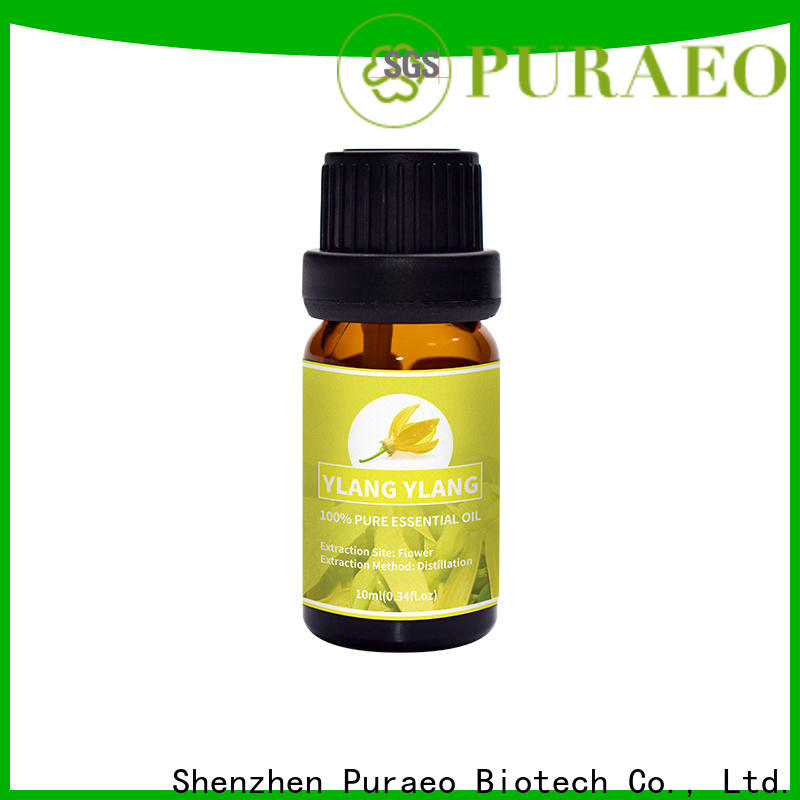 Puraeo ginger oil Suppliers for face