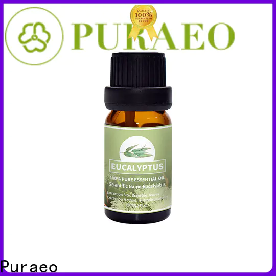 Puraeo best peppermint essential oil Suppliers for massage