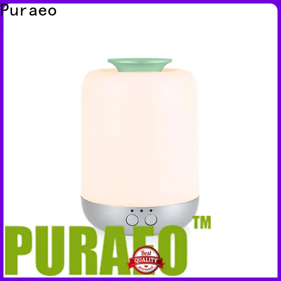 Puraeo wholesale electric aromatherapy diffuser factory