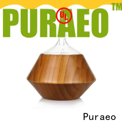 Puraeo Wholesale usb aroma diffuser Supply