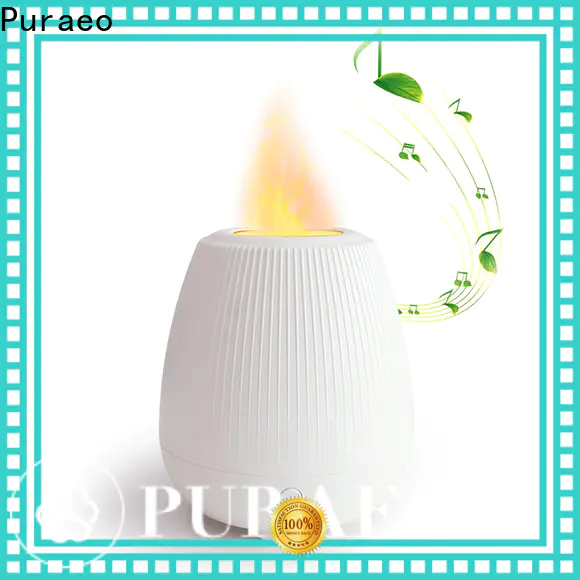 Puraeo Best electric diffuser manufacturers for business