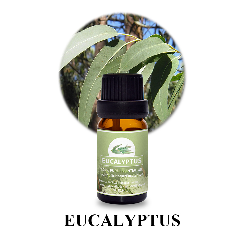 Eucalyptus Essential Oil 5.jpg