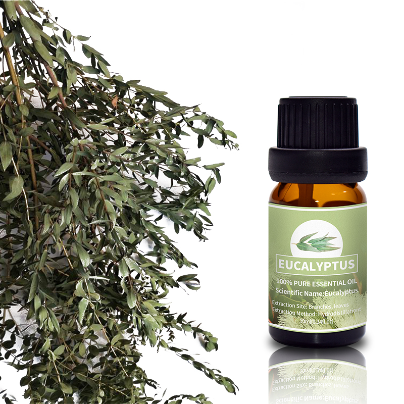 Puraeo best peppermint essential oil Suppliers for massage-1