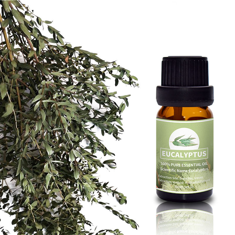 Puraeo Wholesale rosemary oil for skin company for massage-1