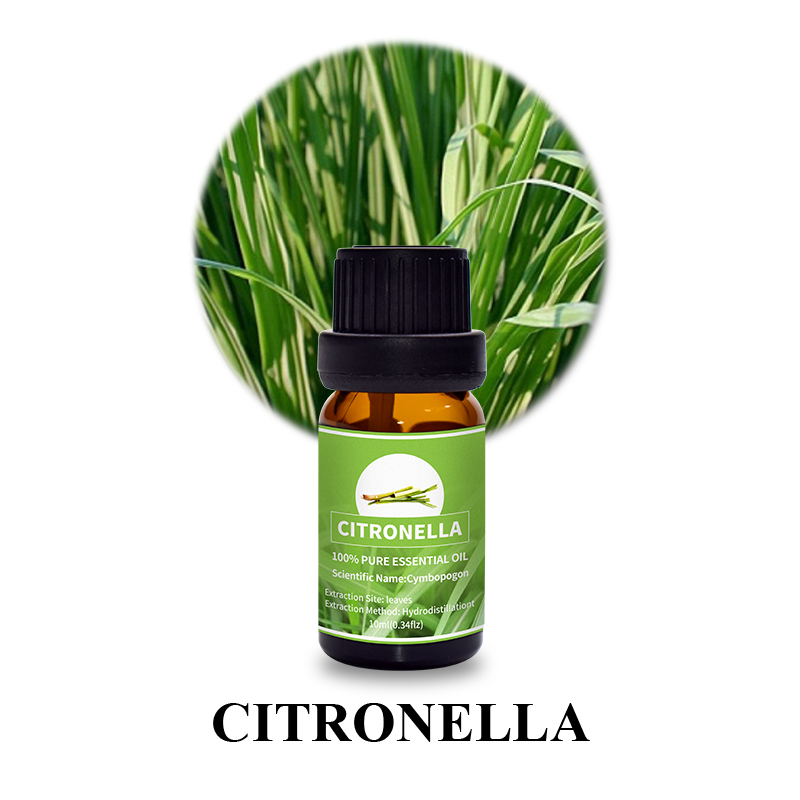 Oem Brand Citronella Essential Oil Puraeo Puraeo