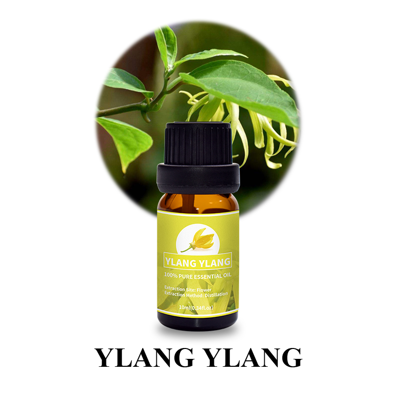 Ylang Ylang 5.jpg