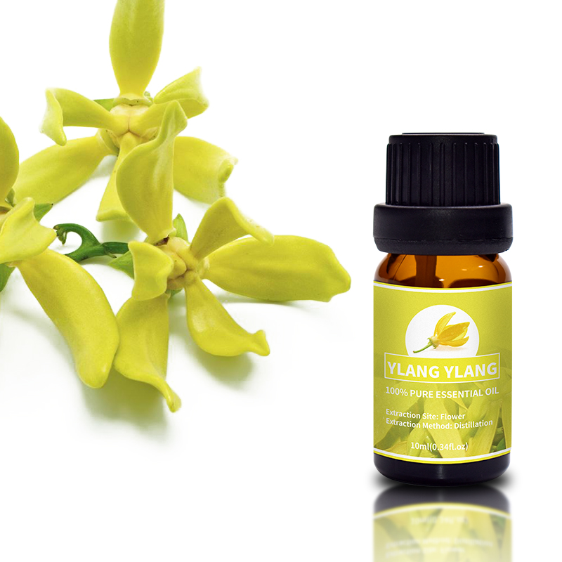 Ylang Ylang 7.jpg