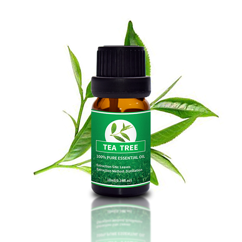 Puraeo Custom organic tea tree essential oil Supply for skin-2