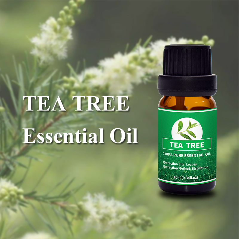 Tea Tree 9.jpg