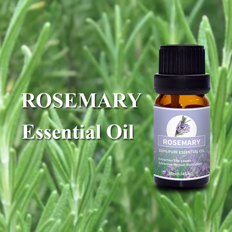 Rosemary 9.jpg