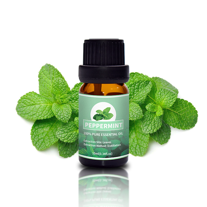 Puraeo New peppermint essential oil for hair for business for face-1