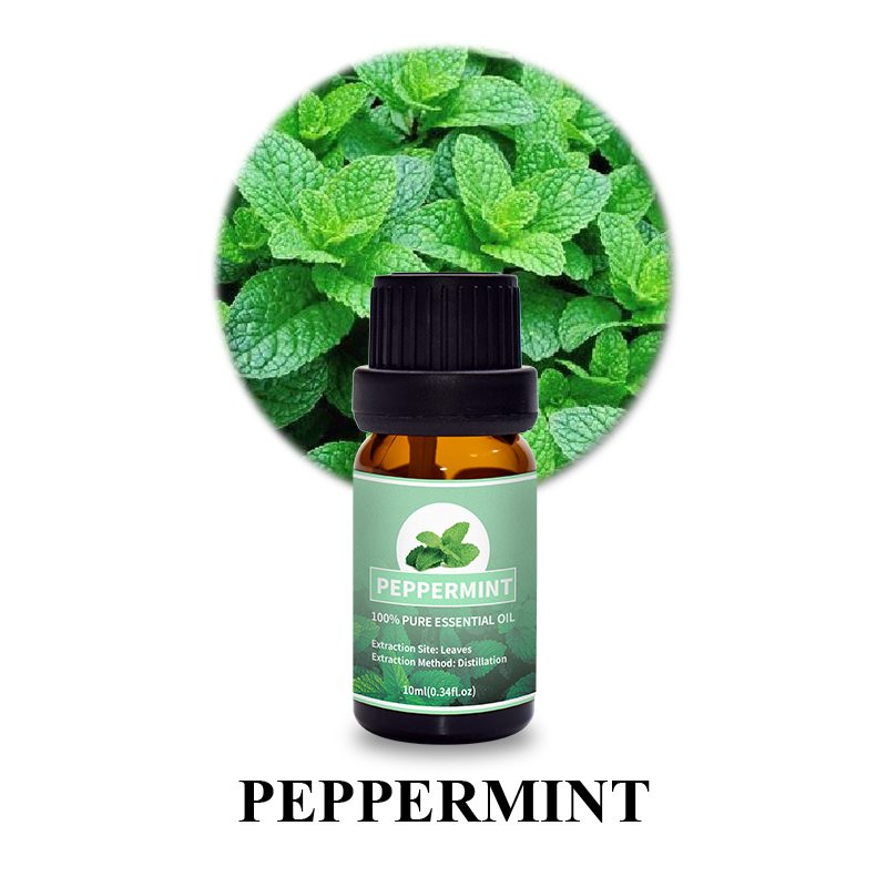 Peppermint 5.jpg