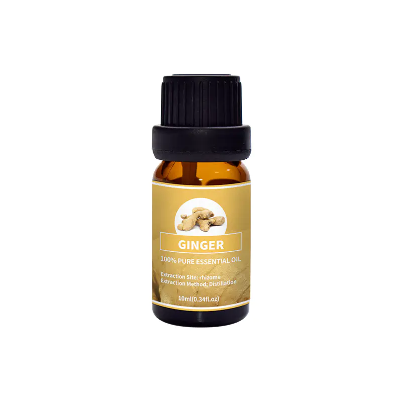 Puraeo Ginger Essential Oil High-quality Ginger Oil For Skin