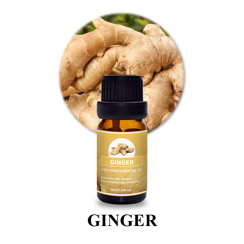 Ginger 5.jpg