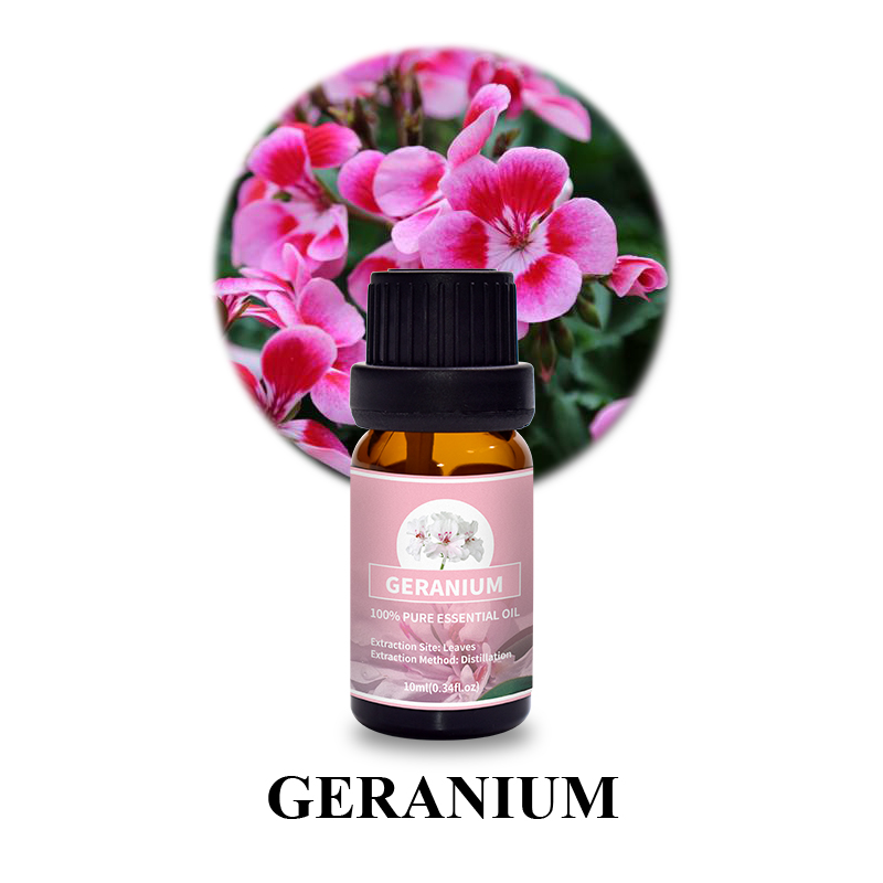 Geranium 5.jpg