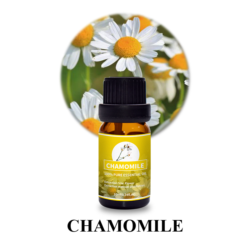 Chamomile 5.jpg