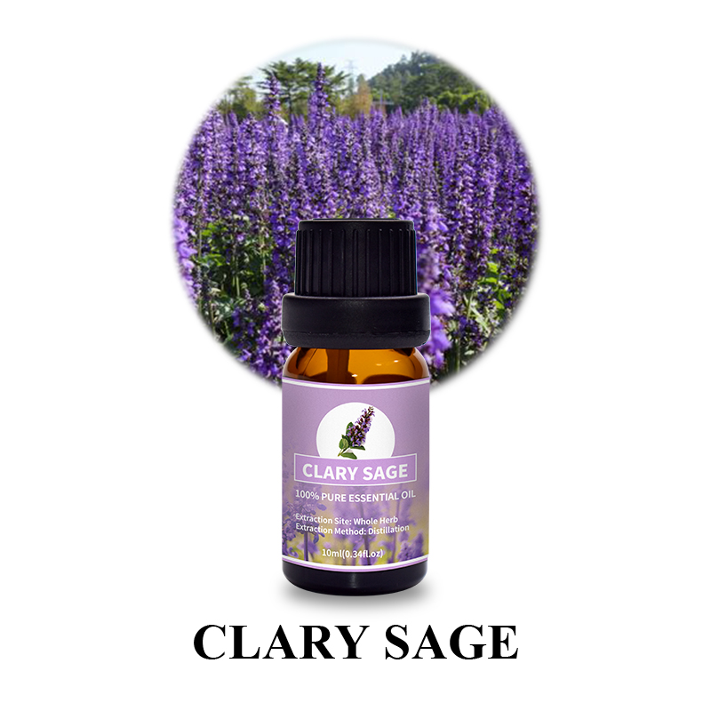 Clary Sage 5.jpg